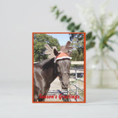 馬の季節の挨拶 シーズンポストカード (スタンド正面)