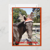 馬の季節の挨拶 シーズンポストカード (正面/裏面)