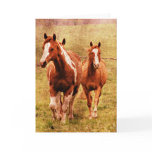 馬の小走りに走ること