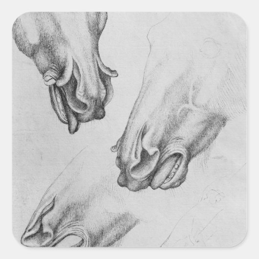 馬の小鼻を切った スクエアシール (正面)