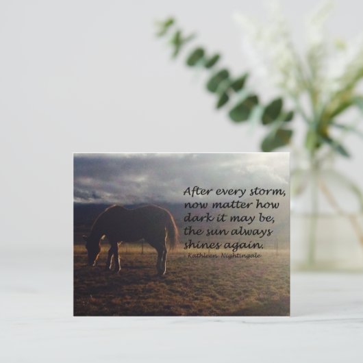 馬の希望 ポストカード (スタンド正面)