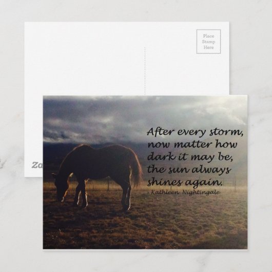 馬の希望 ポストカード (正面/裏面)