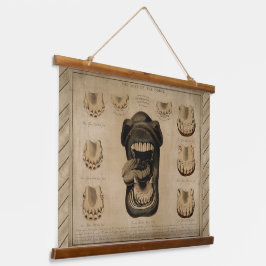 馬の年齢，口歯の歯科ウマ科の表 吊り下げ型タペストリー