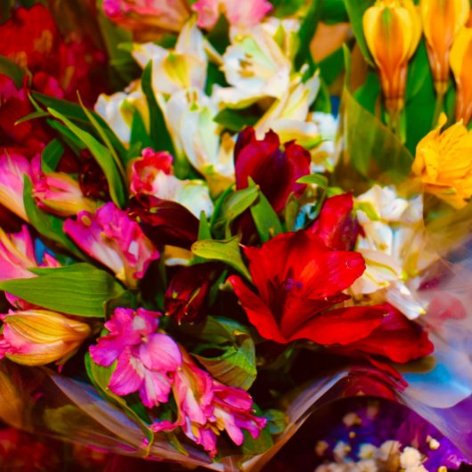 馬の弁当 メタルランチボックス