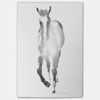 馬の影 ポストイット