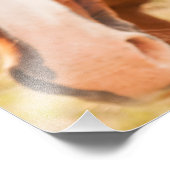 馬の後ろに隠れている馬 フォトプリント            (角)