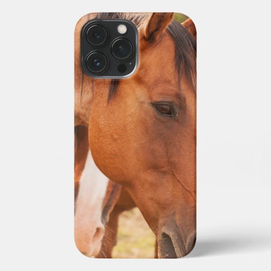 馬の後ろに隠れている馬 iPhoneケース (裏面)