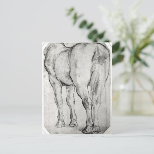 馬の後部 ポストカード (スタンド正面)