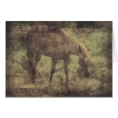 馬の思い出グランジ (正面横)