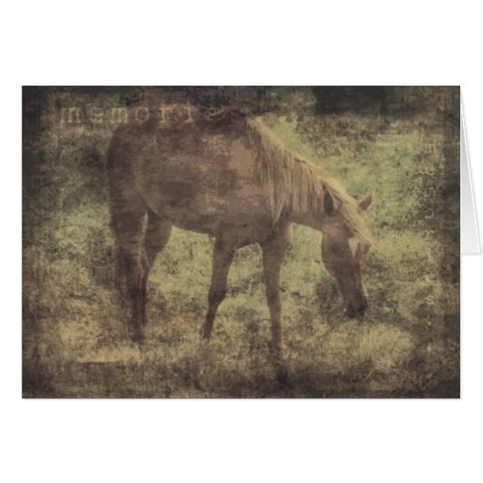 馬の思い出グランジ (正面横)