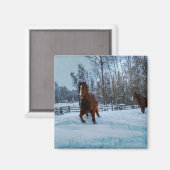 馬の恋人のための雪の千と千尋のソレル馬II マグネット (正面/裏面)