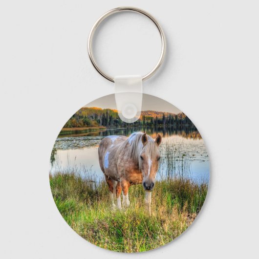 馬の恋人のパロミノ・ピントStallionの写真ウマ科の キーホルダー (正面)