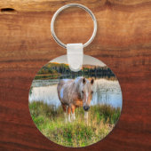 馬の恋人のパロミノ・ピントStallionの写真ウマ科の キーホルダー (正面)