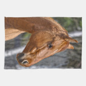 馬の恋人の動物ウマ科のデザイン キッチンタオル (横)
