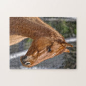 馬の恋人の動物ウマ科のデザイン ジグソーパズル (横)