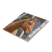 馬の恋人の動物ウマ科のデザイン タイル (側面)