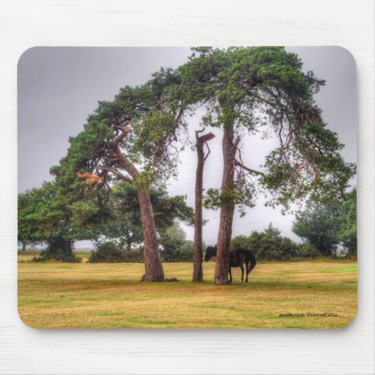 馬の恋人の美しいウマ科の動物デザイン マウスパッド (正面)