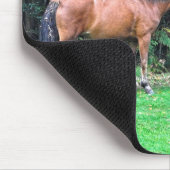 馬の恋人の美しいウマ科の動物デザイン マウスパッド (コーナー)