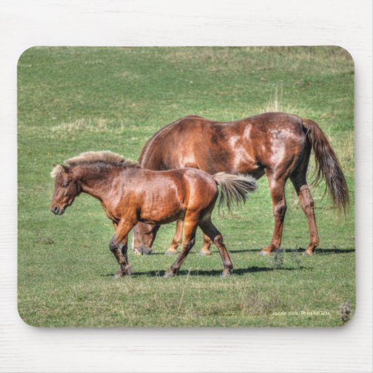 馬の恋人の美しいウマ科の動物デザイン マウスパッド (正面)