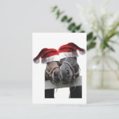 馬の愛と聖降誕祭のお祝い シーズンポストカード (スタンド正面)