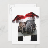 馬の愛と聖降誕祭のお祝い シーズンポストカード (正面/裏面)