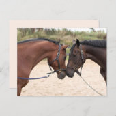 馬の愛のはがき ポストカード (正面/裏面)