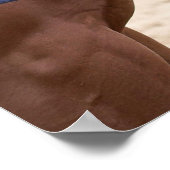 馬の愛のポスター ポスター (角)