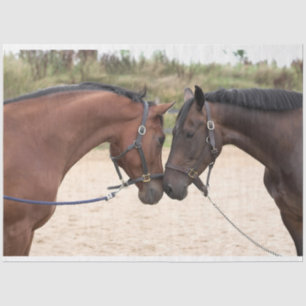 馬の愛ティッシュペーパー 薄葉紙