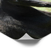 馬の愛ママとベビー ポスター (角)