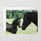 馬の愛ママとベビー ポストカード (正面/裏面)