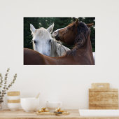 馬の愛情 – ポスター (キッチン)