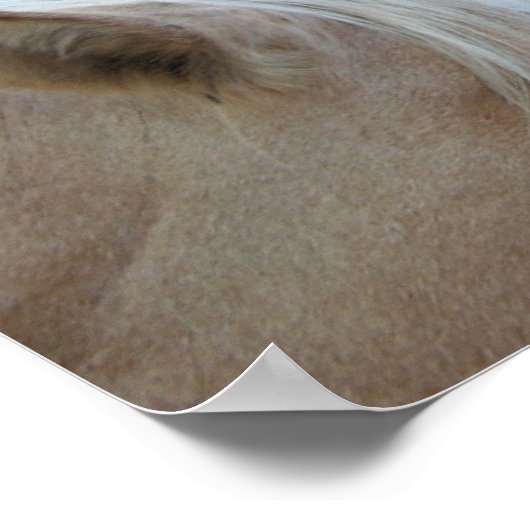 馬の愛 ポスター (角)