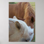 馬の愛 ポスター (正面)