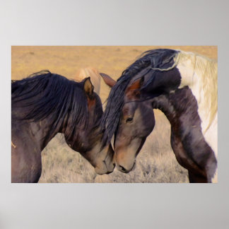 馬の愛 ポスター