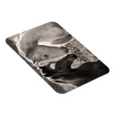 馬の愛 マグネット (右側)