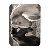 馬の愛 マグネット (縦)