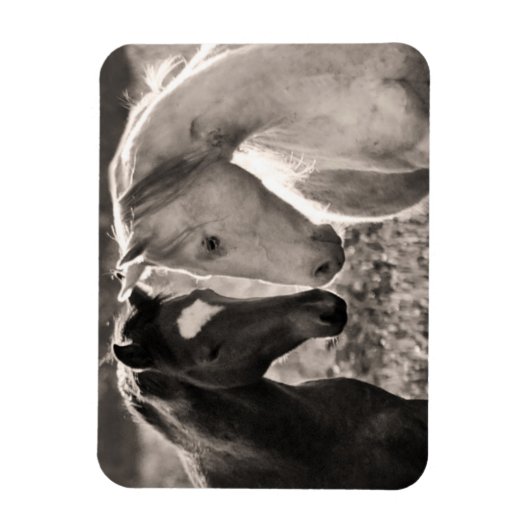 馬の愛 マグネット (縦)