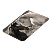 馬の愛 マグネット (左側)