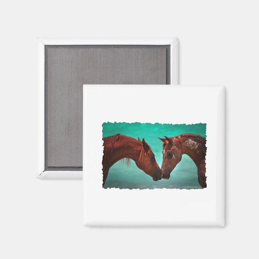 馬の愛 マグネット (正面/裏面)