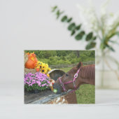 馬の感謝祭 シーズンポストカード (スタンド正面)