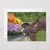 馬の感謝祭 シーズンポストカード (正面/裏面)