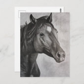 馬の手描きアート ポストカード (正面/裏面)