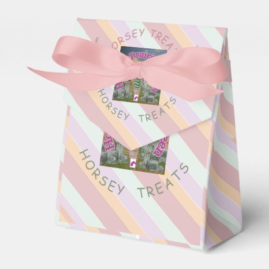 馬の扱い、馬の草原の女王 フェイバーボックス (正面サイド)