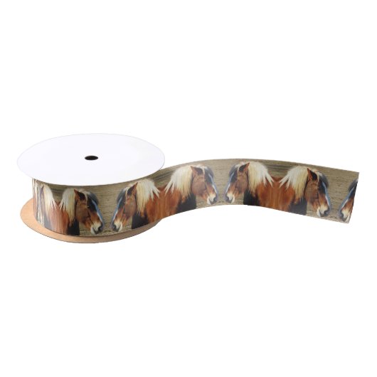 馬の技術のリボンを見直し サテンリボン (リール)