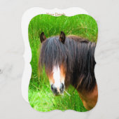 馬の招待状 (正面/裏面)