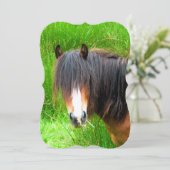 馬の招待状 (スタンド正面)