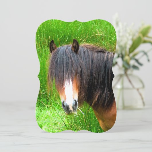 馬の招待状 (スタンド正面)