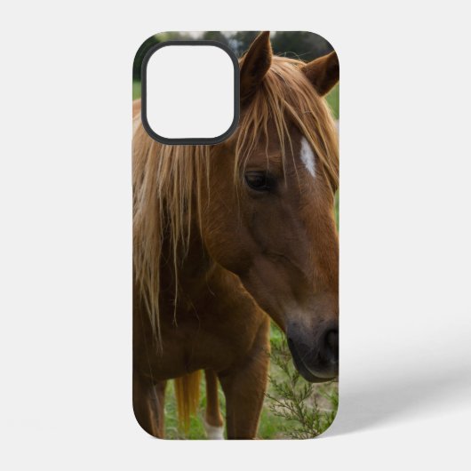 馬の挨拶 iPhone カーゼ iPhoneケース (裏面)