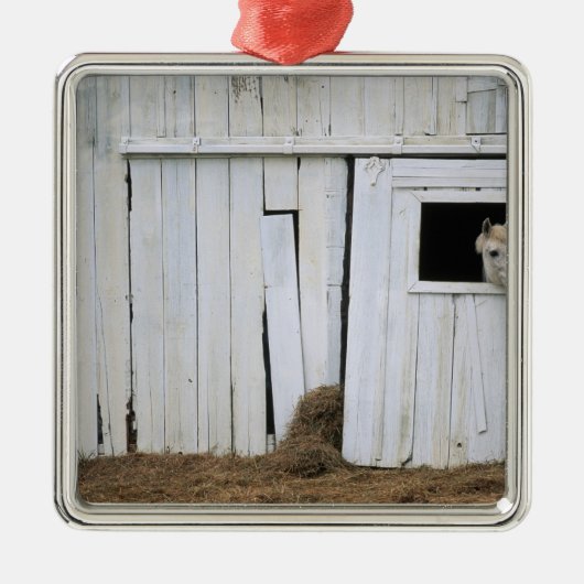 馬の接着は納屋の窓の先頭に立ちます メタルオーナメント (正面)