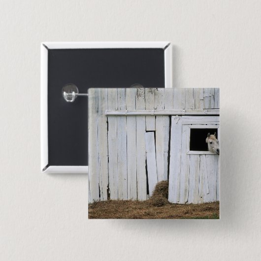 馬の接着は納屋の窓の先頭に立ちます 缶バッジ (正面&裏面)